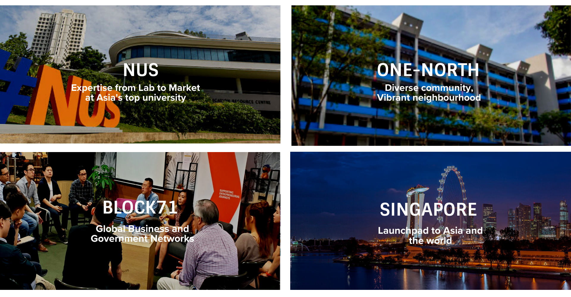 Singapore Startup Access